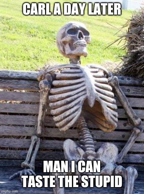 Waiting Skeleton Meme | CARL A DAY LATER MAN I CAN TASTE THE STUPID | image tagged in memes,waiting skeleton | made w/ Imgflip meme maker