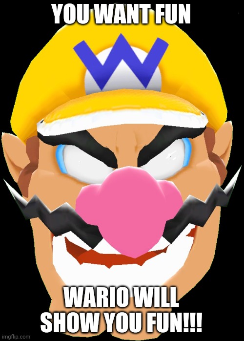 Every copy of mario 64 is personalized | YOU WANT FUN; WARIO WILL SHOW YOU FUN!!! | image tagged in creepy wario,memes,mario | made w/ Imgflip meme maker