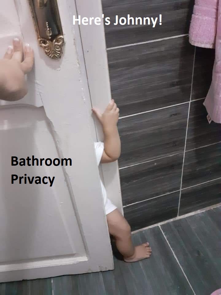 Bathroom Privacy Blank Meme Template