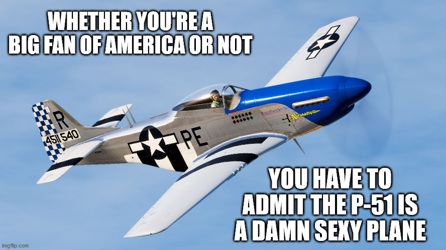 P-51 Mustang | WHETHER YOU'RE A BIG FAN OF AMERICA OR NOT; YOU HAVE TO ADMIT THE P-51 IS A DAMN SEXY PLANE | image tagged in america,united states,wwii,aviation,plane,mustang | made w/ Imgflip meme maker