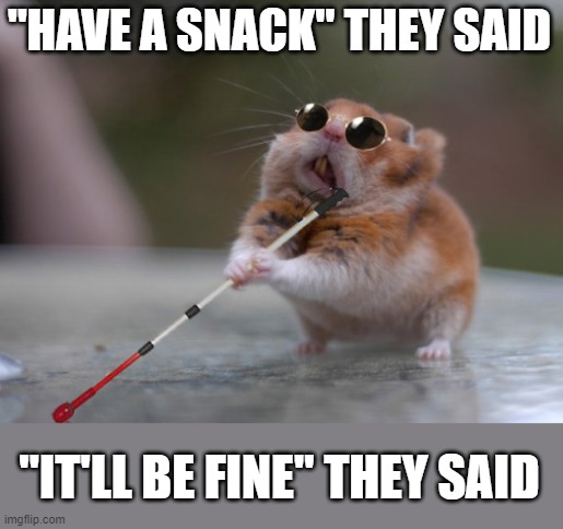 Blind Mouse | "HAVE A SNACK" THEY SAID "IT'LL BE FINE" THEY SAID | image tagged in blind mouse | made w/ Imgflip meme maker