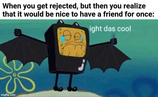 It's nice | When you get rejected, but then you realize that it would be nice to have a friend for once: | image tagged in ight das cool,meme,when your crush,rejected,best friends | made w/ Imgflip meme maker