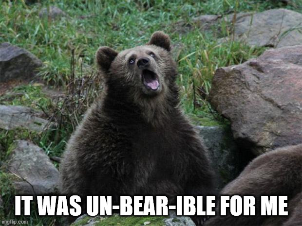 Sarcastic Bear | IT WAS UN-BEAR-IBLE FOR ME | image tagged in sarcastic bear | made w/ Imgflip meme maker