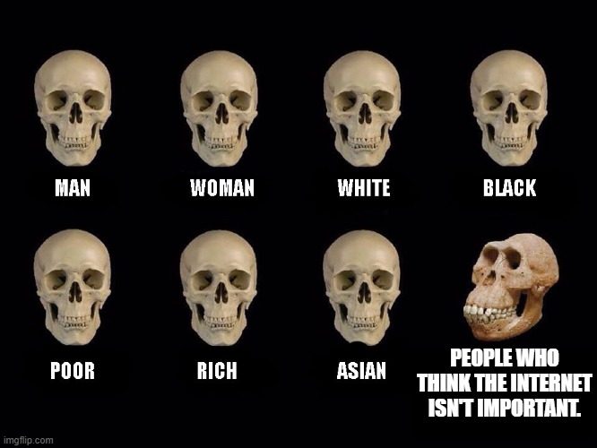 empty skulls of truth | PEOPLE WHO THINK THE INTERNET ISN'T IMPORTANT. | image tagged in empty skulls of truth,memes | made w/ Imgflip meme maker