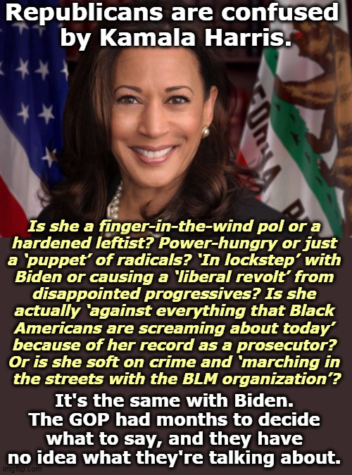 Chaotic messaging from a chaotic White House. | Republicans are confused 
by Kamala Harris. Is she a finger-in-the-wind pol or a 
hardened leftist? Power-hungry or just 
a ‘puppet’ of radicals? ‘In lockstep’ with 
Biden or causing a ‘liberal revolt’ from 
disappointed progressives? Is she 
actually ‘against everything that Black 
Americans are screaming about today’ 
because of her record as a prosecutor? 
Or is she soft on crime and ‘marching in 
the streets with the BLM organization’? It's the same with Biden. The GOP had months to decide what to say, and they have no idea what they're talking about. | image tagged in kamala harris patriot with flag,kamala harris,strong,trump,weak,chaos | made w/ Imgflip meme maker
