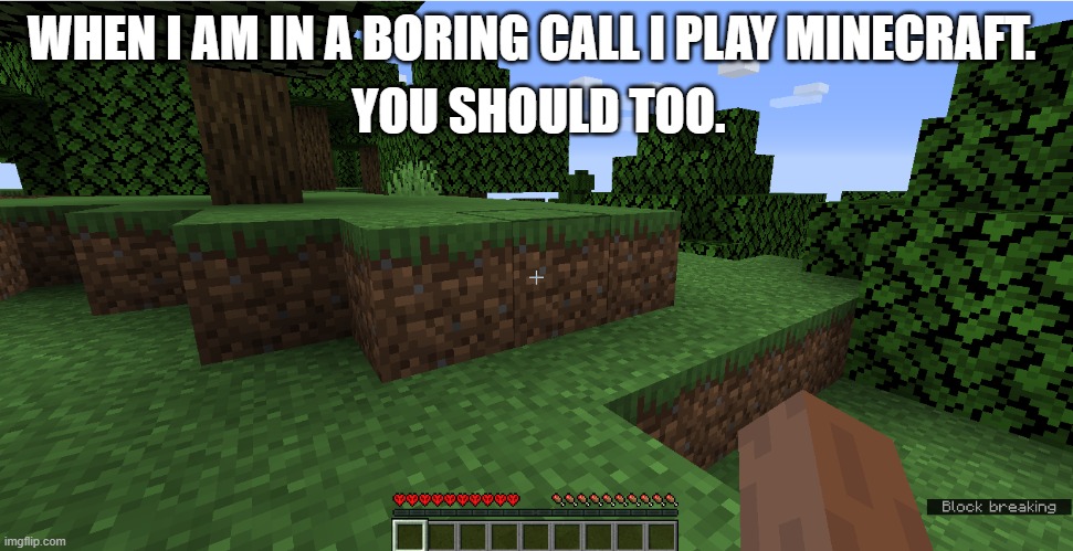 minecraft call | YOU SHOULD TOO. WHEN I AM IN A BORING CALL I PLAY MINECRAFT. | image tagged in minecraft | made w/ Imgflip meme maker