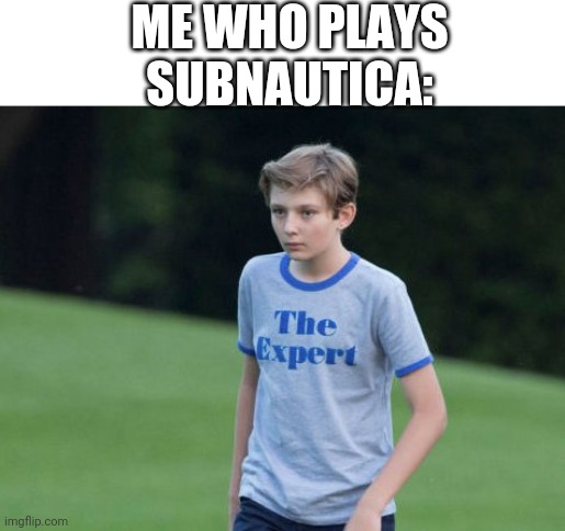 The Expert | ME WHO PLAYS SUBNAUTICA: | image tagged in the expert | made w/ Imgflip meme maker