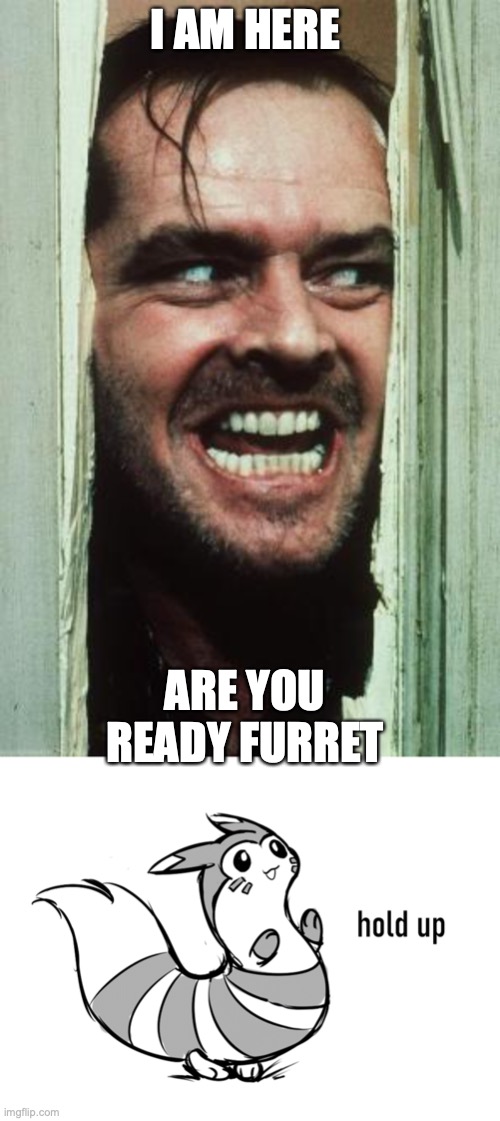 Me | I AM HERE; ARE YOU READY FURRET | image tagged in memes,here's johnny,furret hold up | made w/ Imgflip meme maker