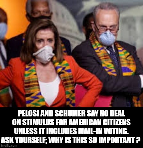 Why Do You Think Pelosi and Schumer Want Mailing In Voting So Bad That They Will Deny Help To US Citizens? | image tagged in pelosi,chuck schumer,stupid liberals,democrats | made w/ Imgflip meme maker