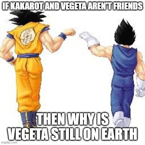 Dragon ball z bros | IF KAKAROT AND VEGETA AREN'T FRIENDS; THEN WHY IS VEGETA STILL ON EARTH | image tagged in dragon ball z bros | made w/ Imgflip meme maker