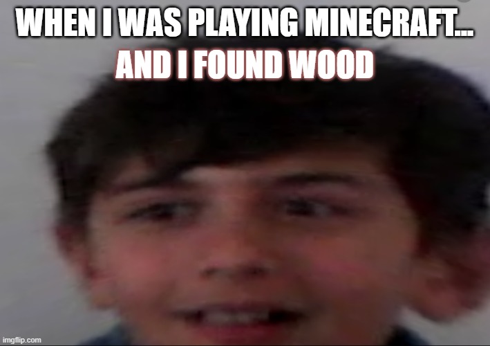 Ooh! | WHEN I WAS PLAYING MINECRAFT... AND I FOUND WOOD | image tagged in minecraft,noob,minecraft noob,wood | made w/ Imgflip meme maker