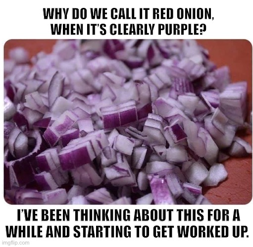 Random shower thoughts |  WHY DO WE CALL IT RED ONION,
WHEN IT’S CLEARLY PURPLE? I’VE BEEN THINKING ABOUT THIS FOR A
WHILE AND STARTING TO GET WORKED UP. | image tagged in red onion,shower thoughts,thinking,angry,colors,memes | made w/ Imgflip meme maker