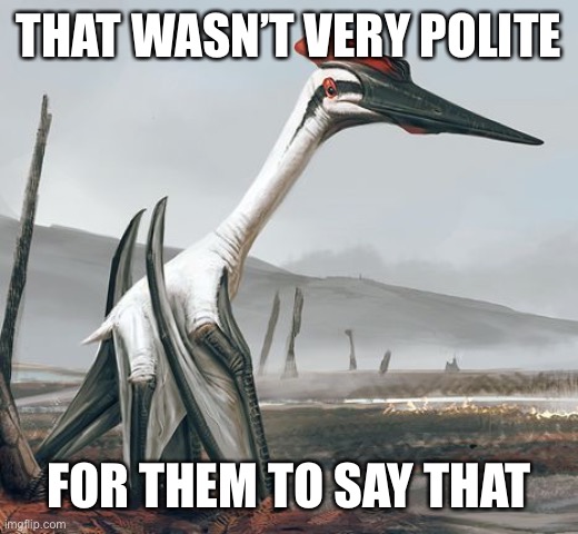 THAT WASN’T VERY POLITE; FOR THEM TO SAY THAT | made w/ Imgflip meme maker