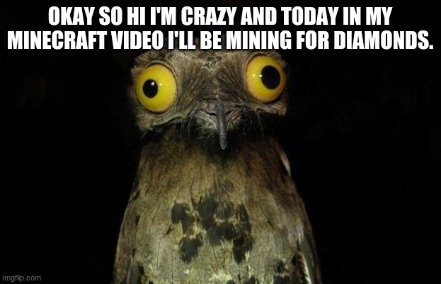 Weird Stuff I Do Potoo | OKAY SO HI I'M CRAZY AND TODAY IN MY MINECRAFT VIDEO I'LL BE MINING FOR DIAMONDS. | image tagged in memes,weird stuff i do potoo | made w/ Imgflip meme maker