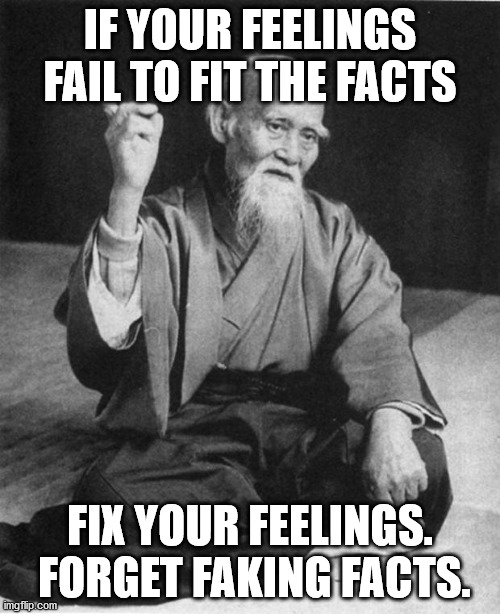Wise Master | IF YOUR FEELINGS FAIL TO FIT THE FACTS; FIX YOUR FEELINGS.  FORGET FAKING FACTS. | image tagged in wise master | made w/ Imgflip meme maker