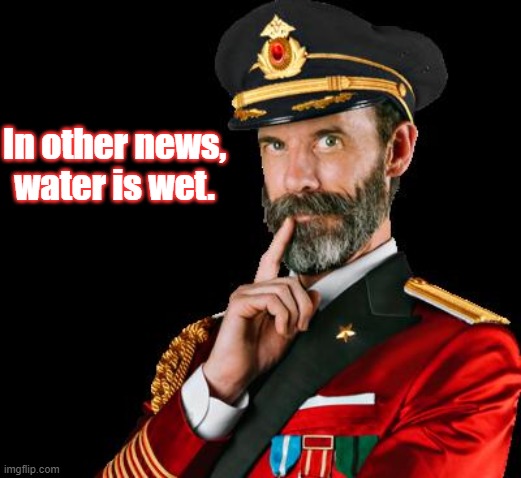 captain obvious | In other news, water is wet. | image tagged in captain obvious | made w/ Imgflip meme maker