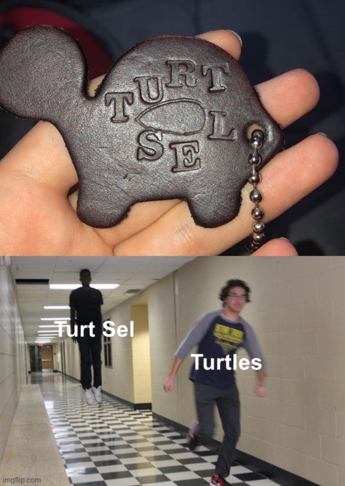 Turt Sel | image tagged in memes,funny,turtle | made w/ Imgflip meme maker