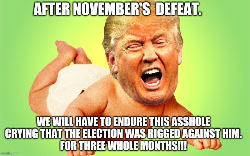 Prepare for whining | AFTER NOVEMBER'S  DEFEAT. WE WILL HAVE TO ENDURE THIS ASSHOLE  CRYING THAT THE ELECTION WAS RIGGED AGAINST HIM. 
FOR THREE WHOLE MONTHS!!! | image tagged in baby trump,trump supporter,coronavirus,election 2020,donald trump | made w/ Imgflip meme maker
