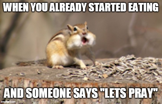 Fat Chipmunk | WHEN YOU ALREADY STARTED EATING; AND SOMEONE SAYS "LETS PRAY" | image tagged in fat chipmunk | made w/ Imgflip meme maker