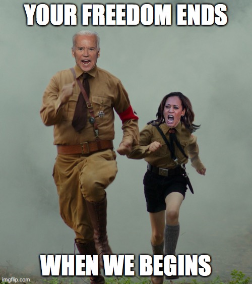 BIDEN HARRIS 2020 | YOUR FREEDOM ENDS; WHEN WE BEGINS | image tagged in biden harris 2020 | made w/ Imgflip meme maker