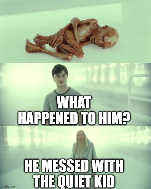 Dead Baby Voldemort / What Happened To Him | WHAT HAPPENED TO HIM? HE MESSED WITH THE QUIET KID | image tagged in dead baby voldemort / what happened to him | made w/ Imgflip meme maker