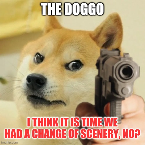 Angry doge | THE DOGGO I THINK IT IS TIME WE HAD A CHANGE OF SCENERY, NO? | image tagged in angry doge | made w/ Imgflip meme maker