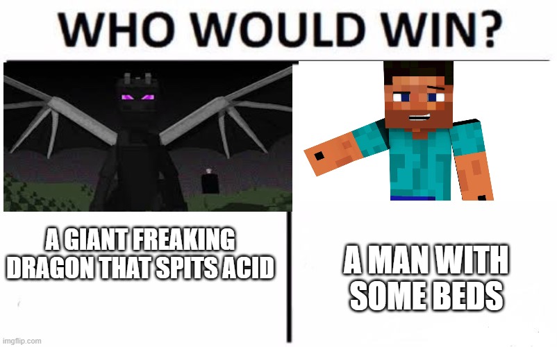 minecraft logic | A MAN WITH SOME BEDS; A GIANT FREAKING DRAGON THAT SPITS ACID | image tagged in memes,who would win | made w/ Imgflip meme maker