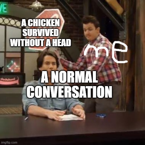 Normal Conversation | A CHICKEN SURVIVED WITHOUT A HEAD; A NORMAL CONVERSATION | image tagged in normal conversation | made w/ Imgflip meme maker