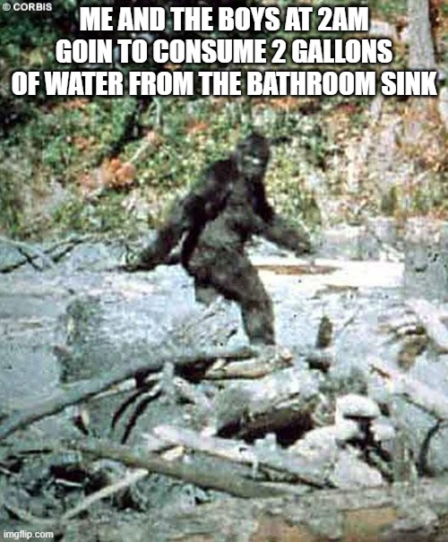 ...after watching memes till 2am | ME AND THE BOYS AT 2AM GOIN TO CONSUME 2 GALLONS OF WATER FROM THE BATHROOM SINK | image tagged in bigfoot,me and the boys at 3 am,me and the boys just me,so true memes | made w/ Imgflip meme maker