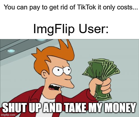pay to get rid of tik tok | You can pay to get rid of TikTok it only costs... ImgFlip User:; SHUT UP AND TAKE MY MONEY | image tagged in memes,shut up and take my money fry | made w/ Imgflip meme maker