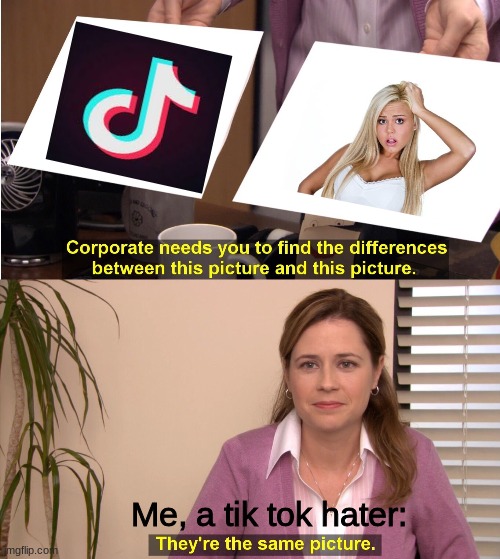 They're The Same Picture | Me, a tik tok hater: | image tagged in memes,they're the same picture,random white girl,tik tok shmik shmok | made w/ Imgflip meme maker