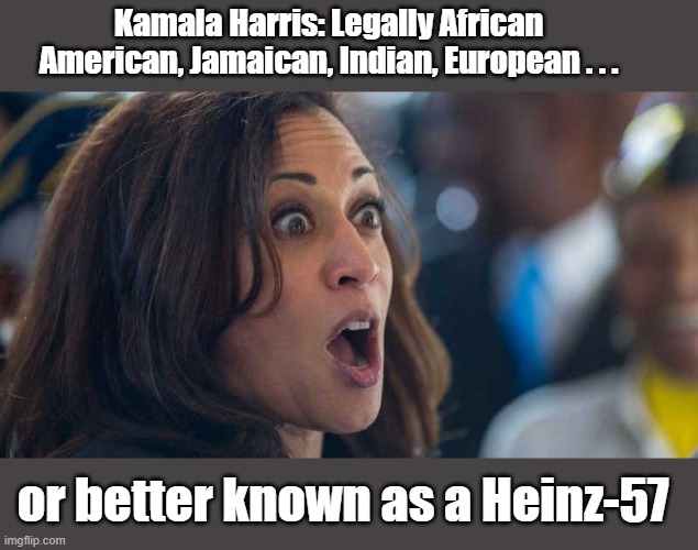 Is a Heinz-57 a minority? (Asking for a friend) | Kamala Harris: Legally African American, Jamaican, Indian, European . . . or better known as a Heinz-57 | image tagged in kamala harriss | made w/ Imgflip meme maker
