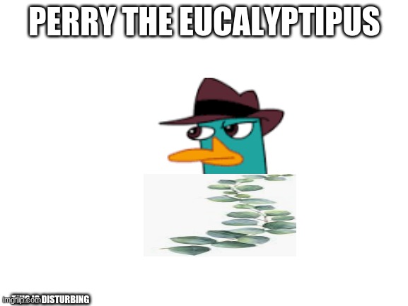 bruh | PERRY THE EUCALYPTIPUS; THIS IS DISTURBING | image tagged in blank white template | made w/ Imgflip meme maker
