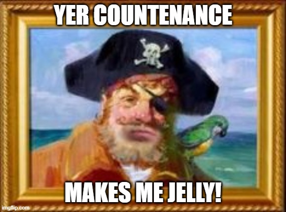 Spongebob pirate | YER COUNTENANCE MAKES ME JELLY! | image tagged in spongebob pirate | made w/ Imgflip meme maker