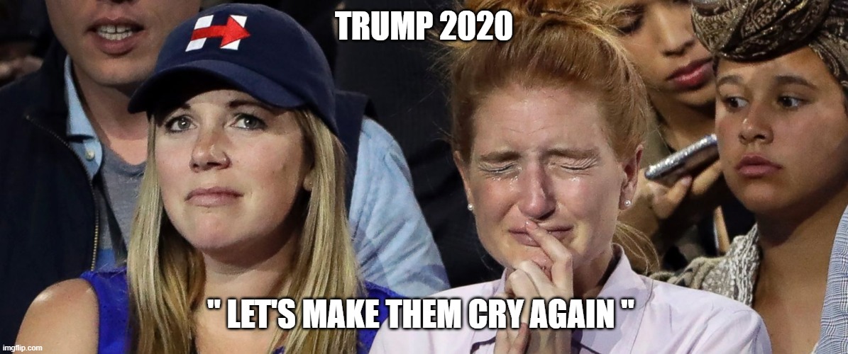 TRUMP | TRUMP 2020; " LET'S MAKE THEM CRY AGAIN " | image tagged in crying | made w/ Imgflip meme maker