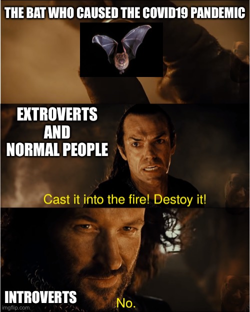 This virus and quarantine are turning us into introverts :’( | THE BAT WHO CAUSED THE COVID19 PANDEMIC; EXTROVERTS AND NORMAL PEOPLE; INTROVERTS | image tagged in cast it into the fire,memes,coronavirus,quarantine,2020,introvert | made w/ Imgflip meme maker