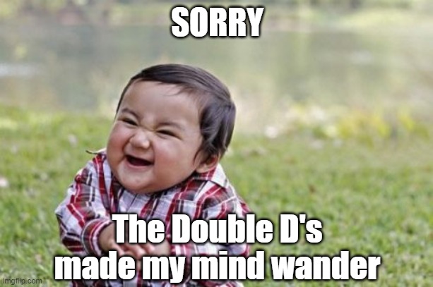 Evil Toddler Meme | SORRY The Double D's made my mind wander | image tagged in memes,evil toddler | made w/ Imgflip meme maker
