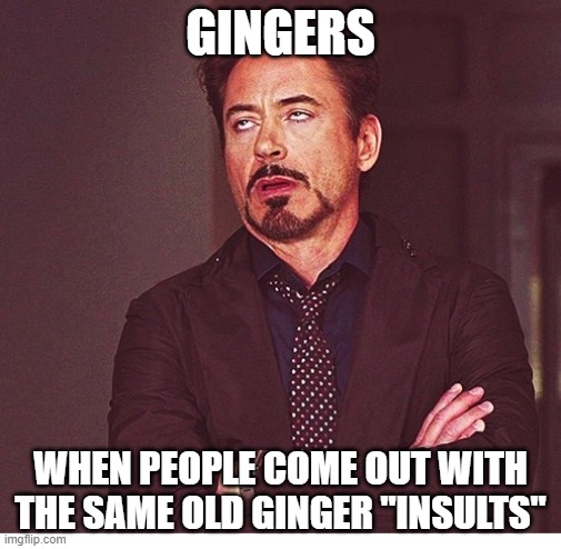 come up with something new | GINGERS; WHEN PEOPLE COME OUT WITH THE SAME OLD GINGER "INSULTS" | image tagged in rdj boring,boring,gingers,redheads,insults,yawn | made w/ Imgflip meme maker