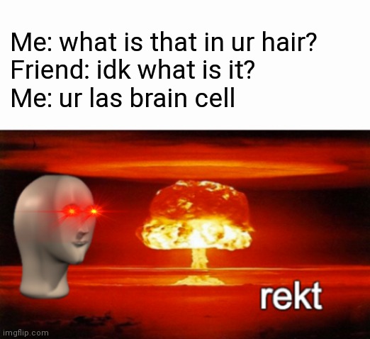 GET REKT | Me: what is that in ur hair?
Friend: idk what is it?
Me: ur las brain cell | image tagged in rekt w/text | made w/ Imgflip meme maker