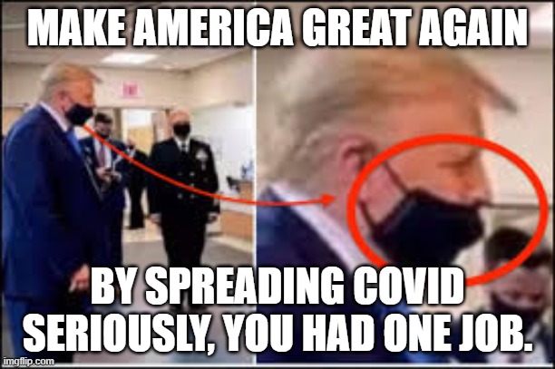 You had one Job to Wear that Mask Correctly | MAKE AMERICA GREAT AGAIN; BY SPREADING COVID
SERIOUSLY, YOU HAD ONE JOB. | image tagged in trump,the mask,make america great again | made w/ Imgflip meme maker
