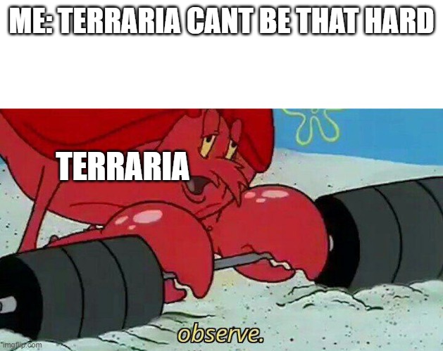 Observe | ME: TERRARIA CANT BE THAT HARD; TERRARIA | image tagged in observe | made w/ Imgflip meme maker