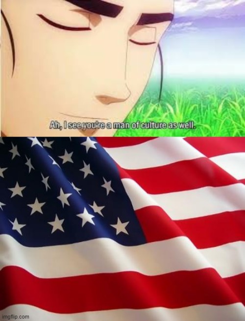 image tagged in american flag,ah i see you are a man of culture as well | made w/ Imgflip meme maker