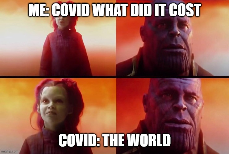 What did it cost? | ME: COVID WHAT DID IT COST; COVID: THE WORLD | image tagged in what did it cost | made w/ Imgflip meme maker
