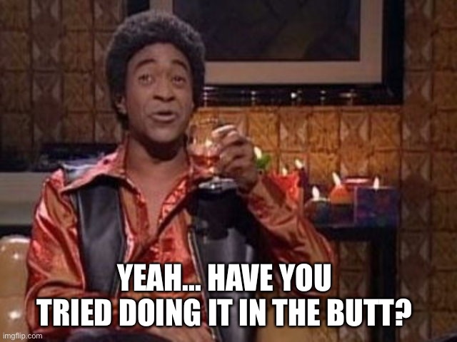 SNL Ladies Man | YEAH... HAVE YOU TRIED DOING IT IN THE BUTT? | image tagged in snl ladies man | made w/ Imgflip meme maker