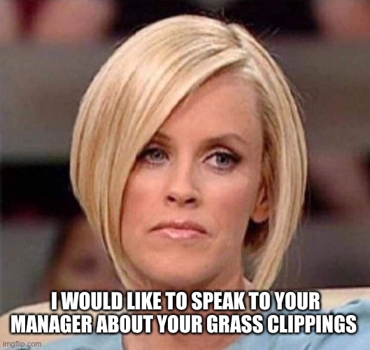 Karen, the manager will see you now | I WOULD LIKE TO SPEAK TO YOUR MANAGER ABOUT YOUR GRASS CLIPPINGS | image tagged in karen the manager will see you now | made w/ Imgflip meme maker