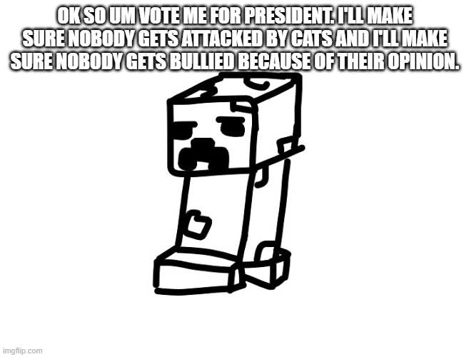 OK SO UM VOTE ME FOR PRESIDENT. I'LL MAKE SURE NOBODY GETS ATTACKED BY CATS AND I'LL MAKE SURE NOBODY GETS BULLIED BECAUSE OF THEIR OPINION. | made w/ Imgflip meme maker