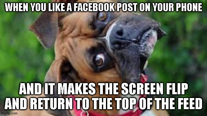 Did I even like it? |  WHEN YOU LIKE A FACEBOOK POST ON YOUR PHONE; AND IT MAKES THE SCREEN FLIP AND RETURN TO THE TOP OF THE FEED | image tagged in it do be like that sometimes,technology,spared no expense | made w/ Imgflip meme maker