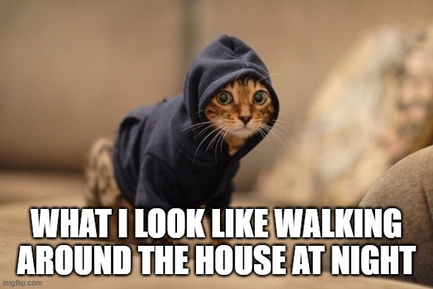Hoody Cat Meme | WHAT I LOOK LIKE WALKING AROUND THE HOUSE AT NIGHT | image tagged in memes,hoody cat | made w/ Imgflip meme maker