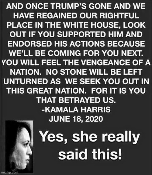 This the the choice we have. | image tagged in kamala harris,2020 | made w/ Imgflip meme maker
