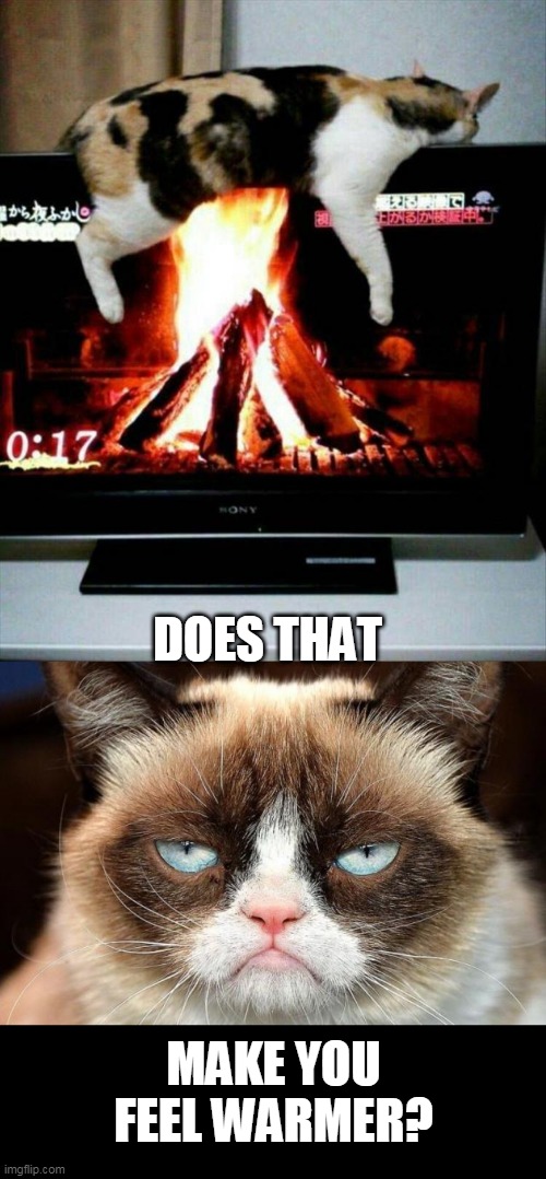 AT LEAST SHE'S NOT INTERRUPTING ANYTHING | DOES THAT; MAKE YOU FEEL WARMER? | image tagged in memes,grumpy cat not amused,cats,funny cats,sleeping cat | made w/ Imgflip meme maker